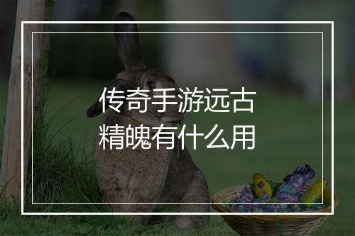 传奇手游远古精魄有什么用