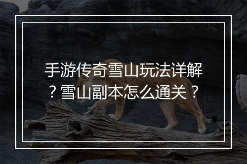 手游传奇雪山玩法详解？雪山副本怎么通关？