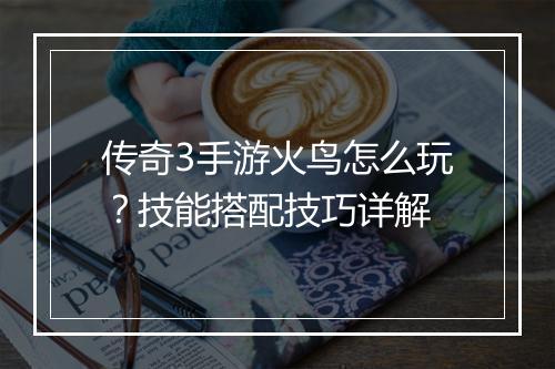 传奇3手游火鸟怎么玩？技能搭配技巧详解