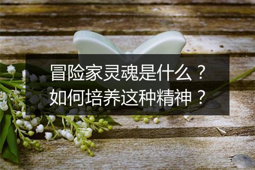 冒险家灵魂是什么？如何培养这种精神？