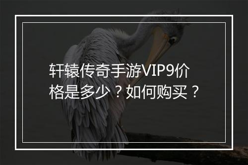轩辕传奇手游VIP9价格是多少？如何购买？