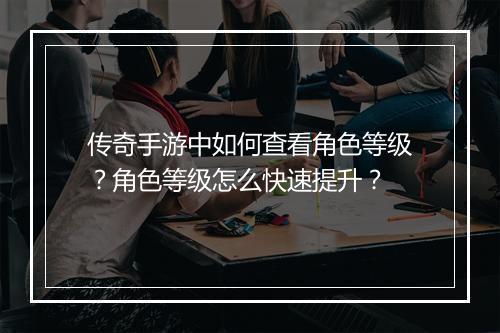 传奇手游中如何查看角色等级？角色等级怎么快速提升？