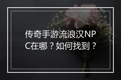 传奇手游流浪汉NPC在哪？如何找到？