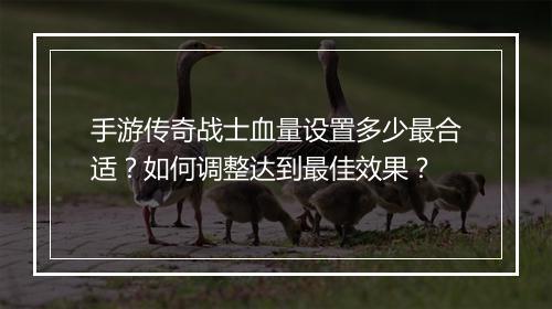 手游传奇战士血量设置多少最合适？如何调整达到最佳效果？
