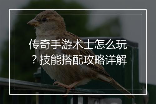 传奇手游术士怎么玩？技能搭配攻略详解