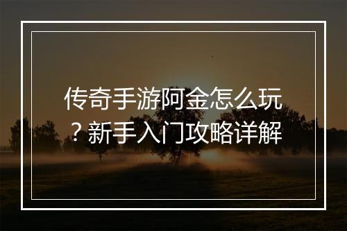 传奇手游阿金怎么玩？新手入门攻略详解