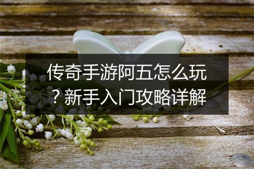 传奇手游阿五怎么玩？新手入门攻略详解