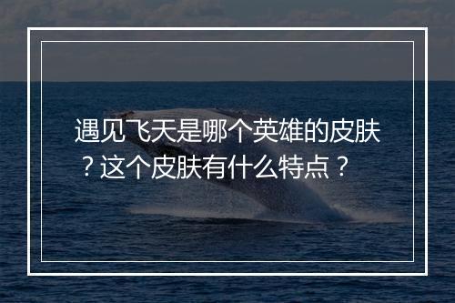 遇见飞天是哪个英雄的皮肤？这个皮肤有什么特点？