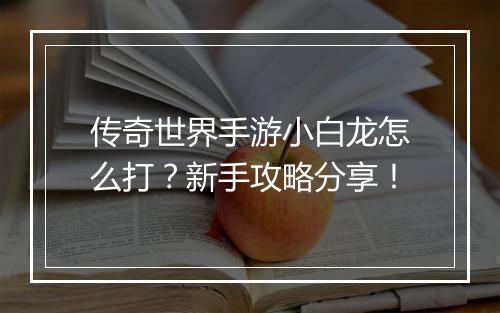 传奇世界手游小白龙怎么打？新手攻略分享！