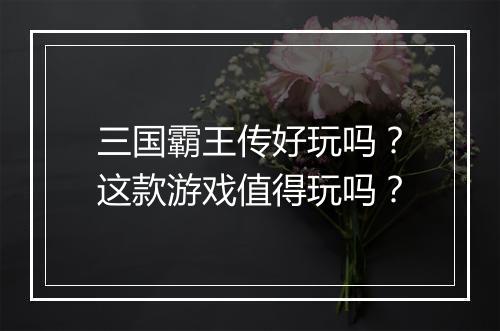 三国霸王传好玩吗？这款游戏值得玩吗？