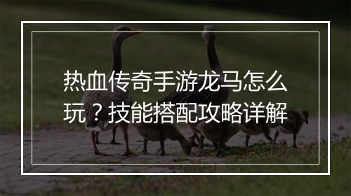 热血传奇手游龙马怎么玩？技能搭配攻略详解