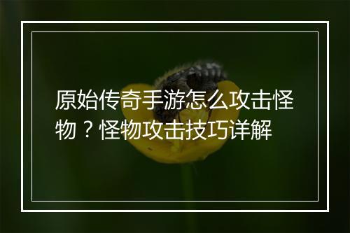 原始传奇手游怎么攻击怪物？怪物攻击技巧详解