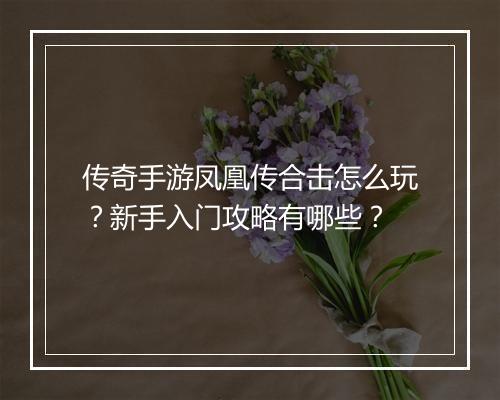 传奇手游凤凰传合击怎么玩？新手入门攻略有哪些？