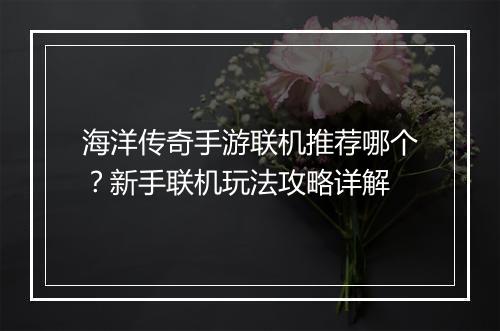 海洋传奇手游联机推荐哪个？新手联机玩法攻略详解