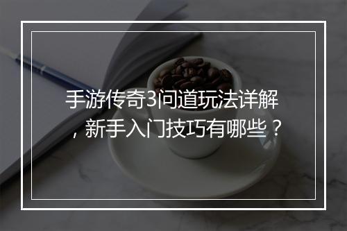 手游传奇3问道玩法详解,新手入门技巧有哪些?
