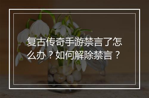 复古传奇手游禁言了怎么办？如何解除禁言？