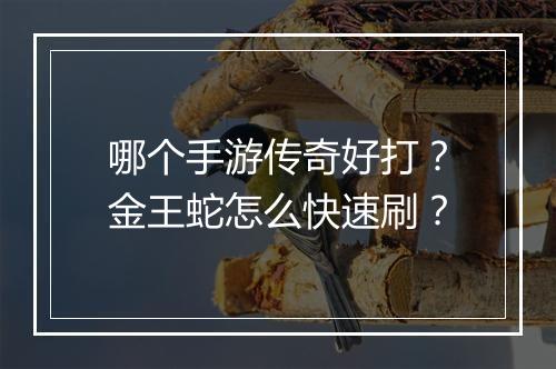 哪个手游传奇好打？金王蛇怎么快速刷？