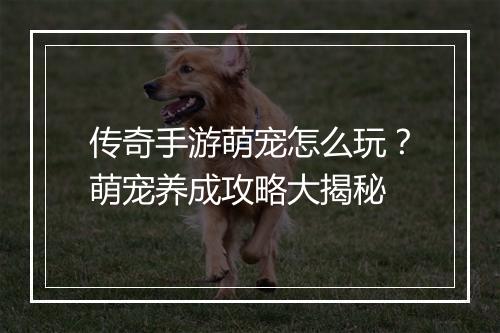 传奇手游萌宠怎么玩？萌宠养成攻略大揭秘