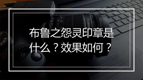 布鲁之怨灵印章是什么？效果如何？