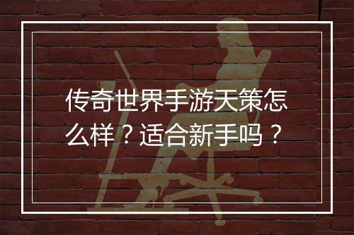 传奇世界手游天策怎么样？适合新手吗？