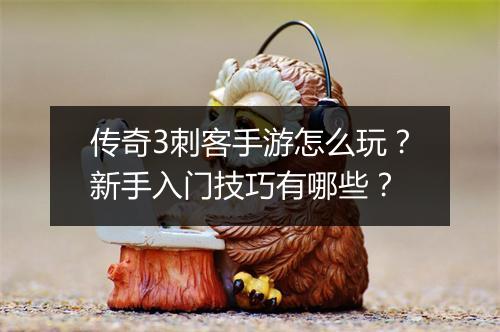 传奇3刺客手游怎么玩？新手入门技巧有哪些？