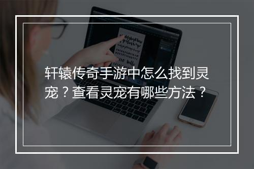 轩辕传奇手游中怎么找到灵宠？查看灵宠有哪些方法？