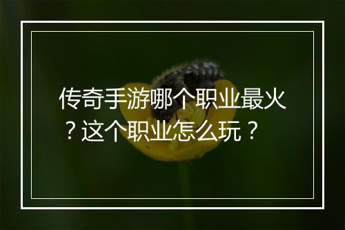 传奇手游哪个职业最火？这个职业怎么玩？