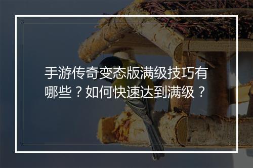 手游传奇变态版满级技巧有哪些？如何快速达到满级？