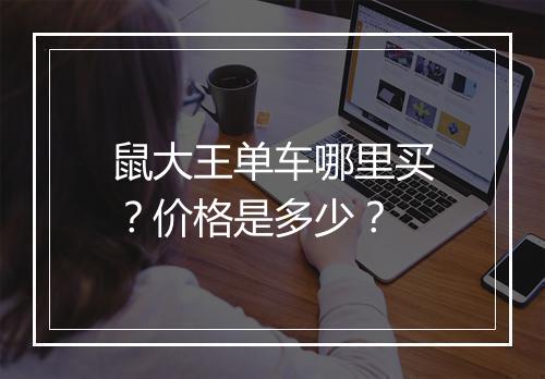 鼠大王单车哪里买？价格是多少？