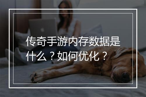 传奇手游内存数据是什么？如何优化？