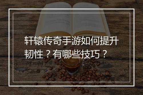 轩辕传奇手游如何提升韧性？有哪些技巧？