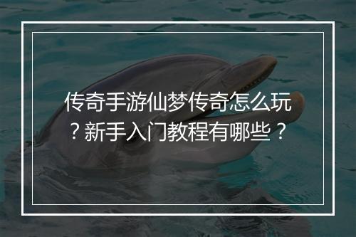 传奇手游仙梦传奇怎么玩？新手入门教程有哪些？