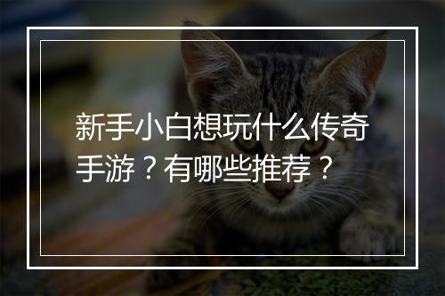 新手小白想玩什么传奇手游？有哪些推荐？