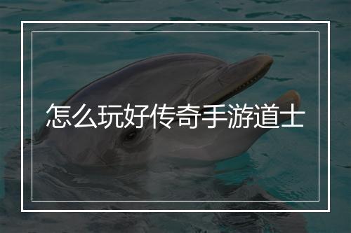 怎么玩好传奇手游道士