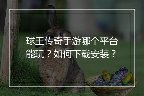 球王传奇手游哪个平台能玩？如何下载安装？