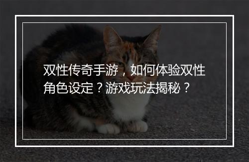 双性传奇手游，如何体验双性角色设定？游戏玩法揭秘？