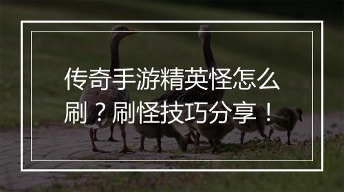 传奇手游精英怪怎么刷？刷怪技巧分享！