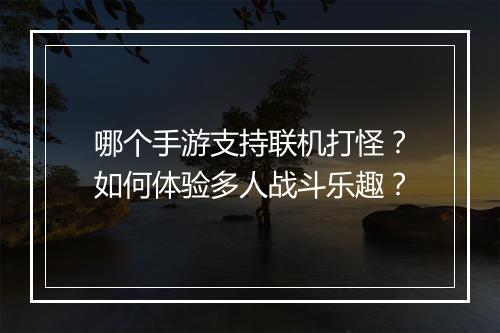 哪个手游支持联机打怪？如何体验多人战斗乐趣？