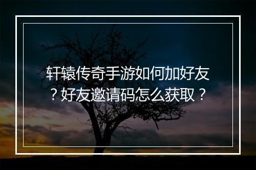 轩辕传奇手游如何加好友？好友邀请码怎么获取？