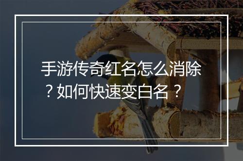 手游传奇红名怎么消除？如何快速变白名？