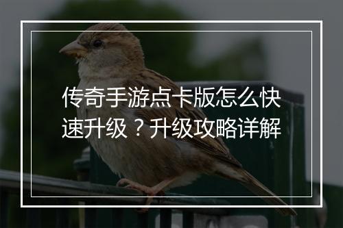 传奇手游点卡版怎么快速升级？升级攻略详解