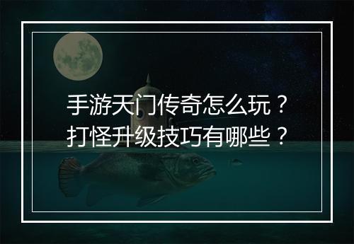 手游天门传奇怎么玩？打怪升级技巧有哪些？