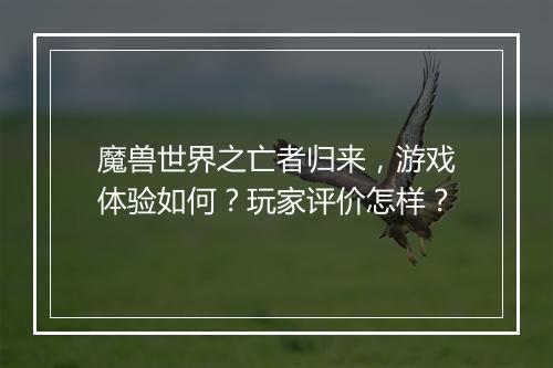 魔兽世界之亡者归来，游戏体验如何？玩家评价怎样？