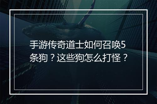 手游传奇道士如何召唤5条狗？这些狗怎么打怪？