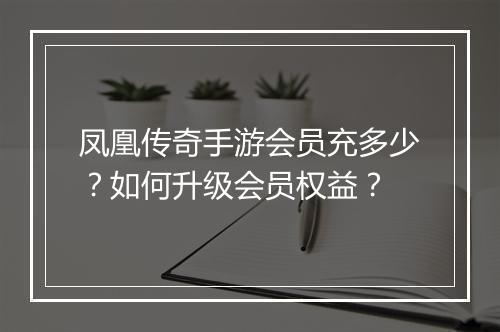 凤凰传奇手游会员充多少？如何升级会员权益？