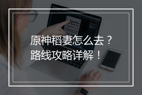 原神稻妻怎么去？路线攻略详解！