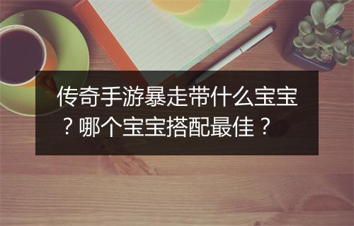 传奇手游暴走带什么宝宝？哪个宝宝搭配最佳？