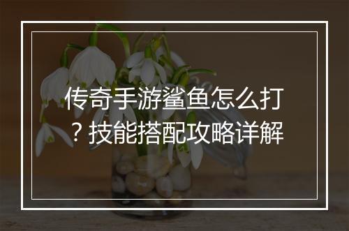传奇手游鲨鱼怎么打？技能搭配攻略详解