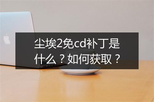 尘埃2免cd补丁是什么？如何获取？