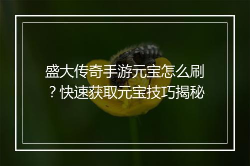盛大传奇手游元宝怎么刷？快速获取元宝技巧揭秘